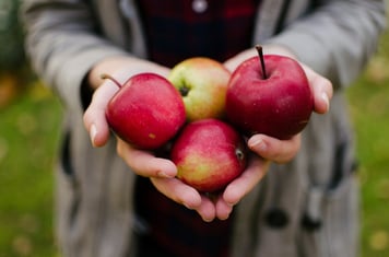 Turkey and dressing and…apples for Thanksgiving. Image